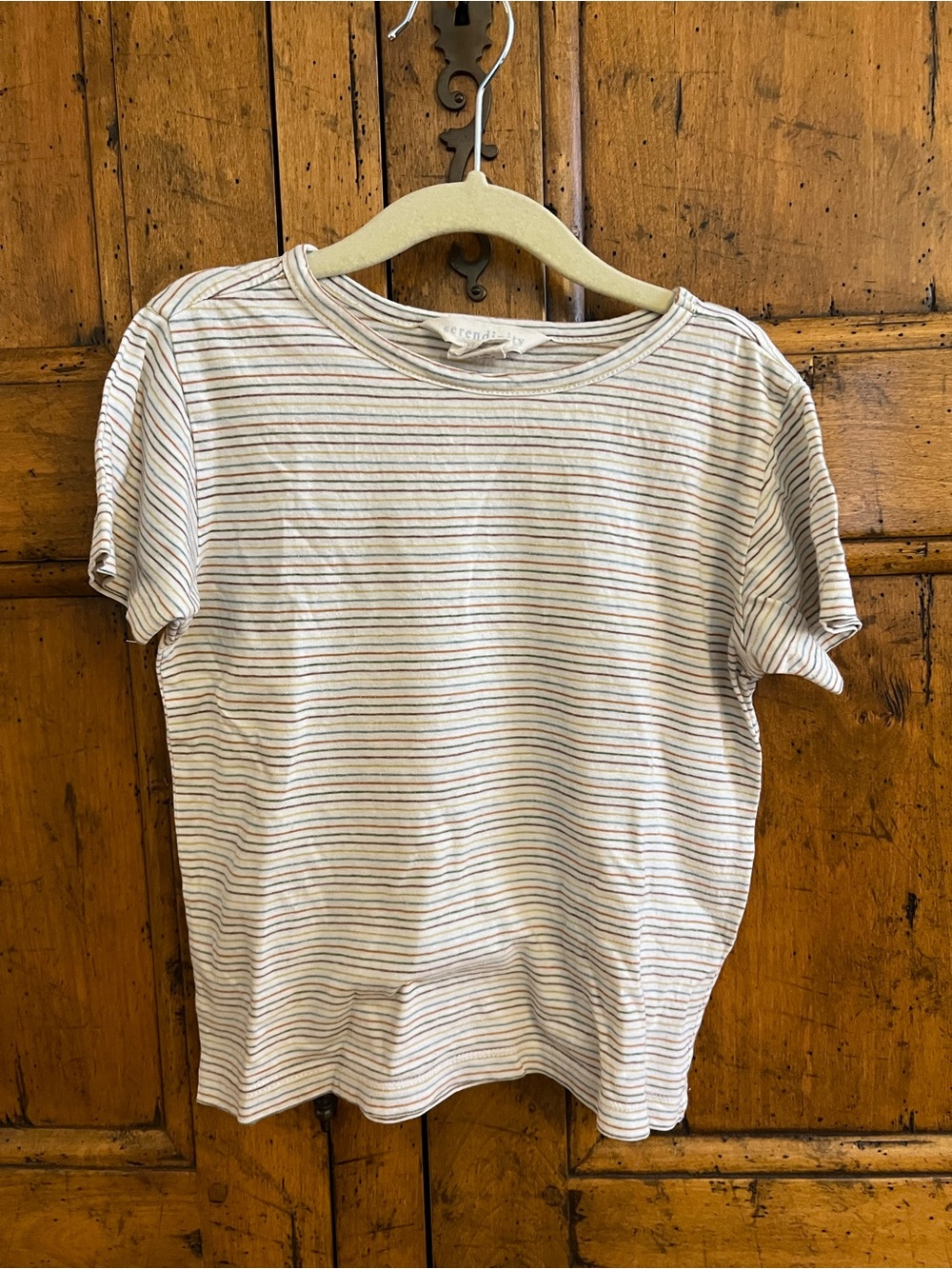 Serendipity - Casual Stripe Crewneck Tee - White with Thin Multicolor Stripes